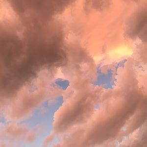 Meet your Posher, Jaden